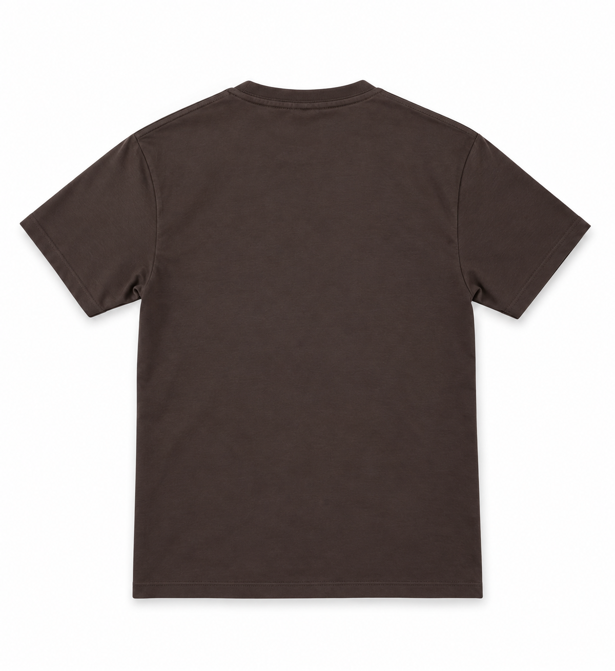 Polera FX classic (2025) brown
