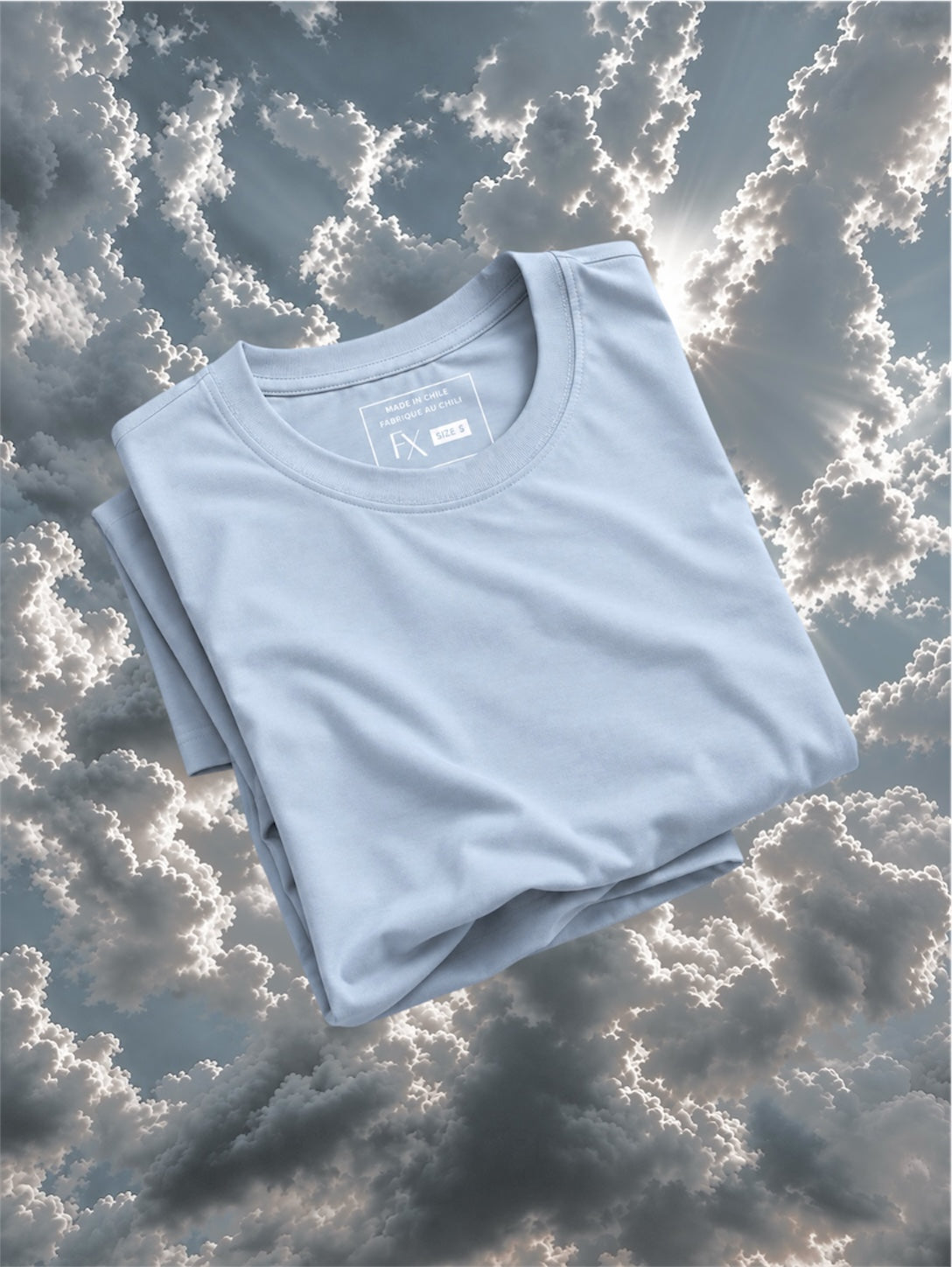 POLERA 𝗕𝗔𝗦𝗜𝗖 𝗣𝗥𝗘𝗠𝗜𝗨𝗠 - ICE BLUE